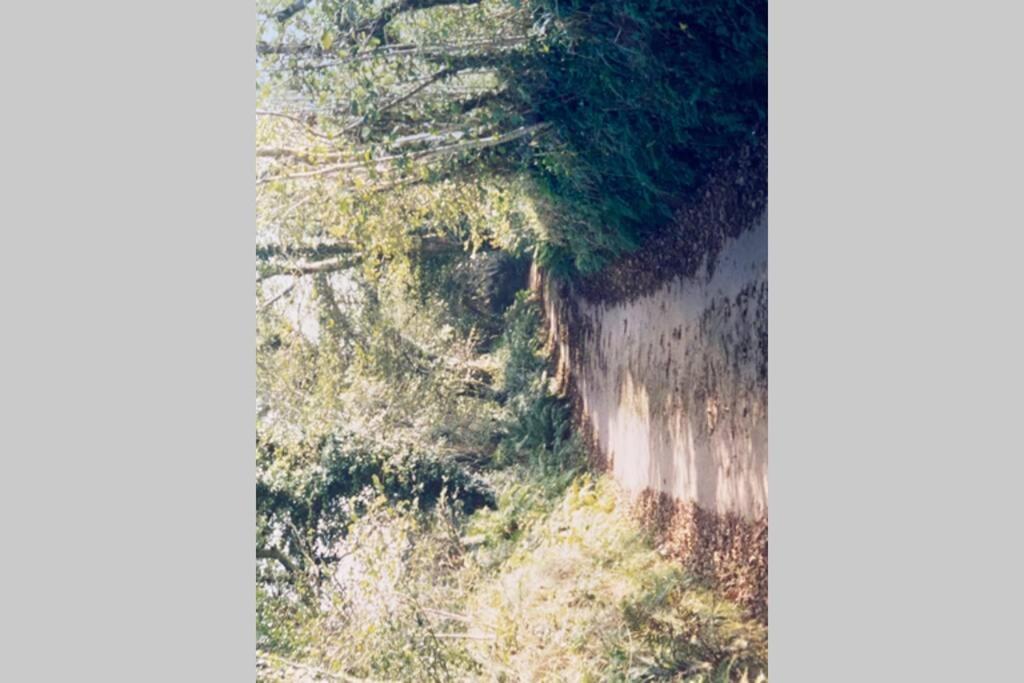 Okewoon Farm Villa Lanivet Luaran gambar